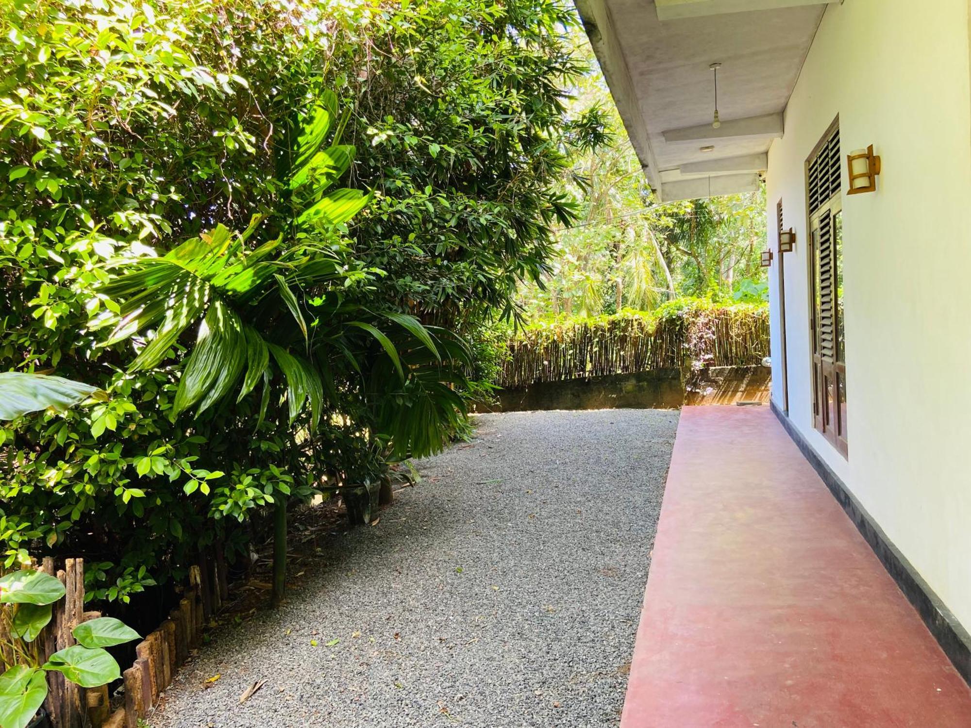 Leo Homestay Dikwella Exterior foto