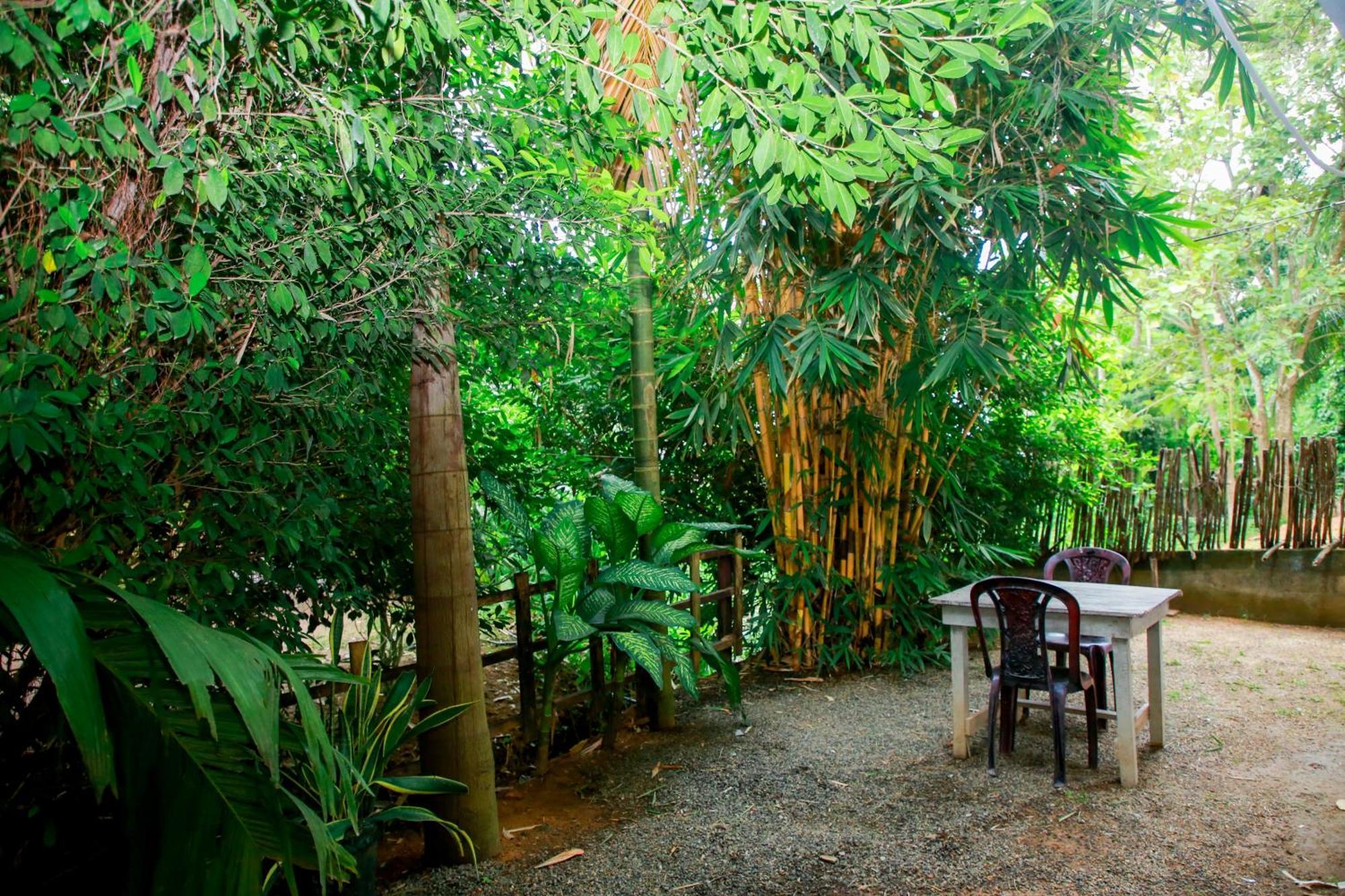 Leo Homestay Dikwella Exterior foto